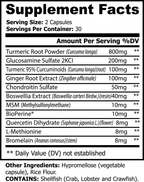 Natzen Platinium Turmeric Curcumin