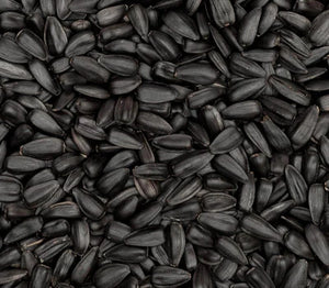 Aceite de Semilla Negra