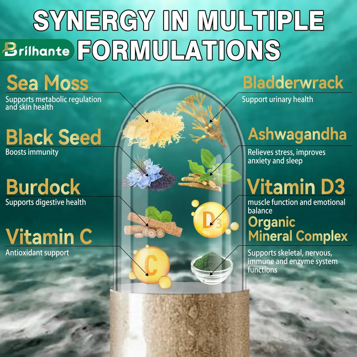 Natzen Sea Moss Capsules 60 Veggie