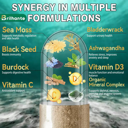 Natzen Sea Moss Capsules 60 Veggie
