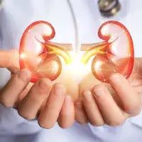 Freer Urinary Flow
