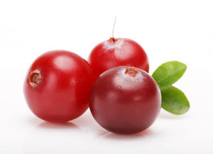 Cranberry Extract